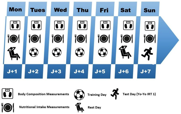 Performance variables and nutritional status analysis from Moroccan professional and adolescent football players during the competition period: a descriptive study Performance variables and nutritional status analysis from Moroccan professional and adolescent football players during the competition period: a descriptive study