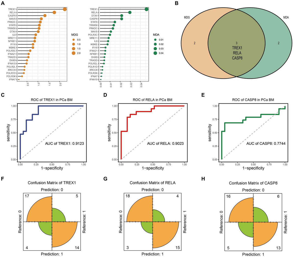 Frontiers | Mining bone metastasis related key genes of