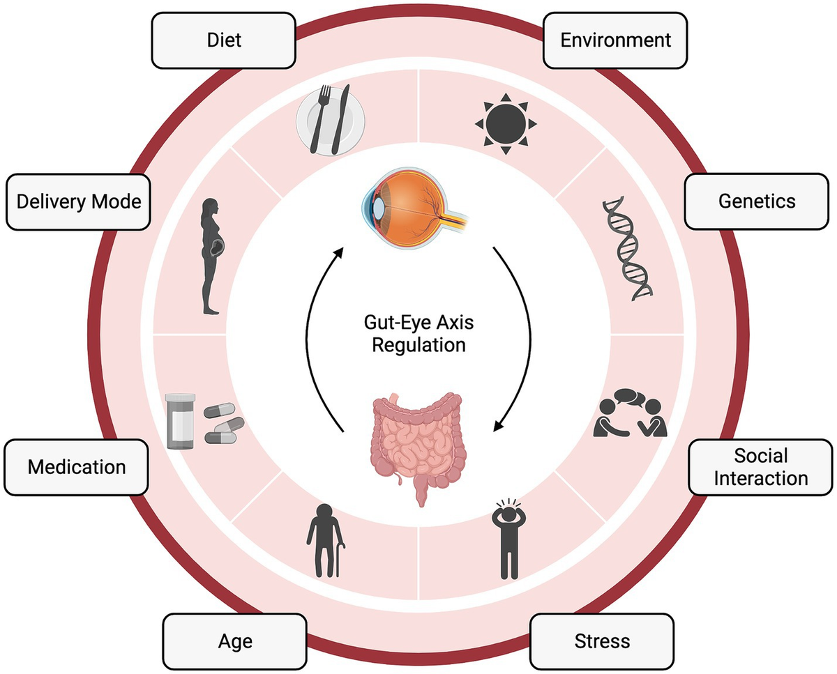 fukuta 様 Recent Advances in the Synthesis and Application of TS‐1