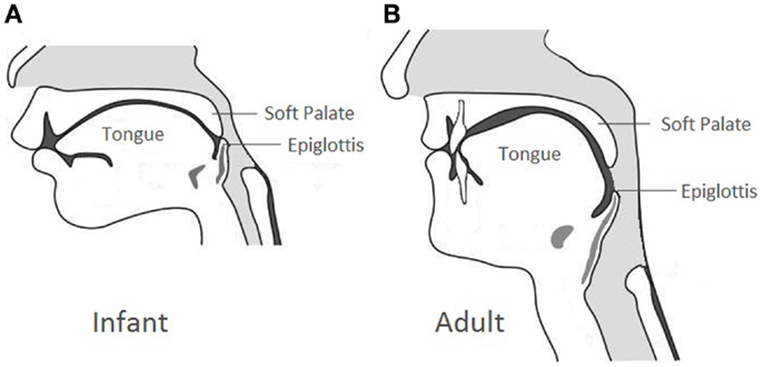 Opamga super porno keldi Onlayn stol ostida yaladi