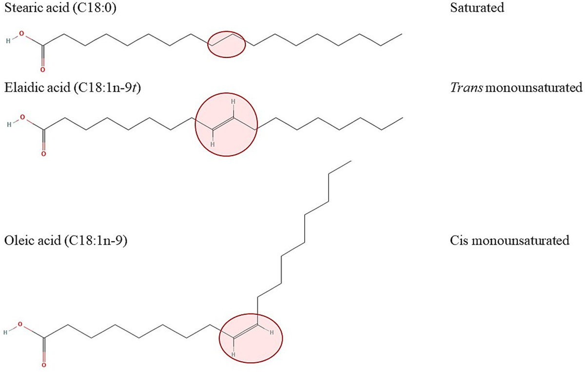 Bovine Serum Albumin(BSA) - New Zealand Precision Grade