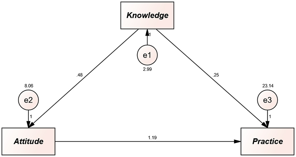 Knowledge, attitudes, and practices among patients with anemia towards disease management