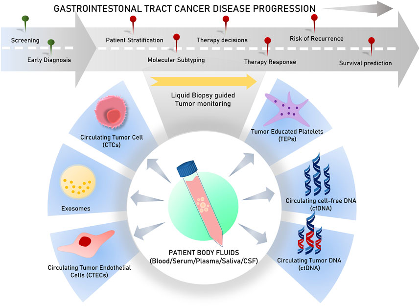 Frontiers | Prospects of liquid biopsy in the prognosis and