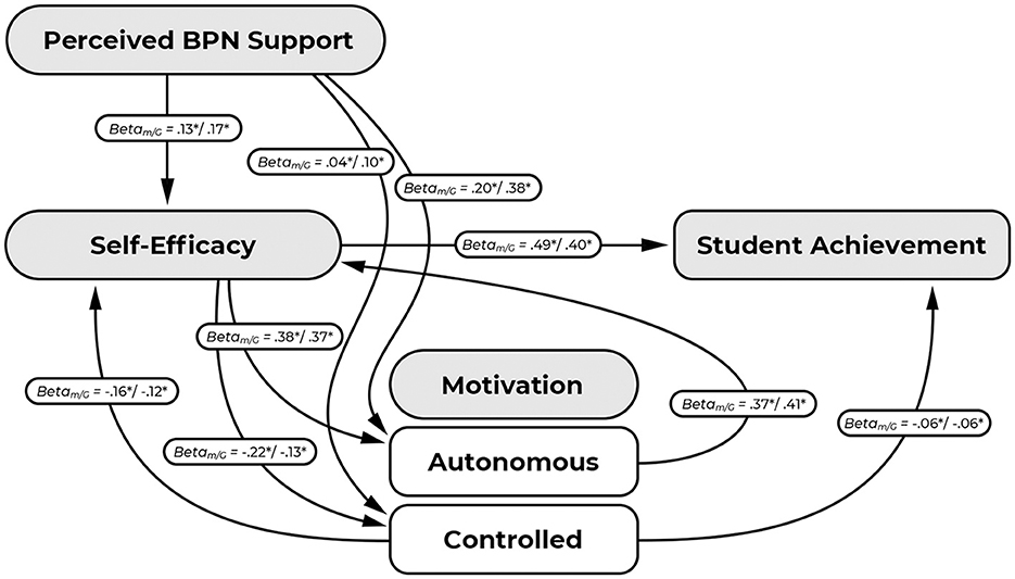 The role of self-efficacy, motivation, and perceived support of students’ basic psychological needs in academic achievement