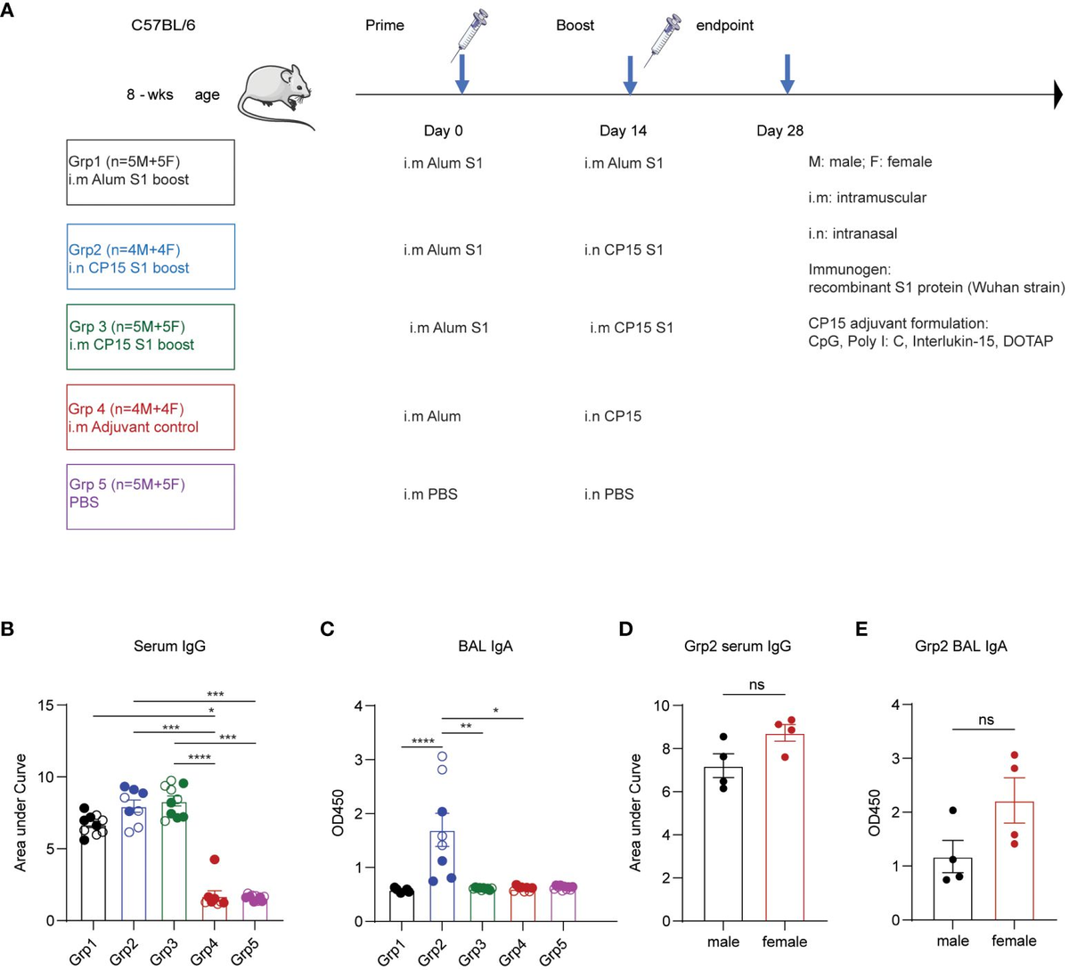 VA Serum 3 EX SERIES 2本セット Liver-breast communication of adipocyte-oriented exosomes