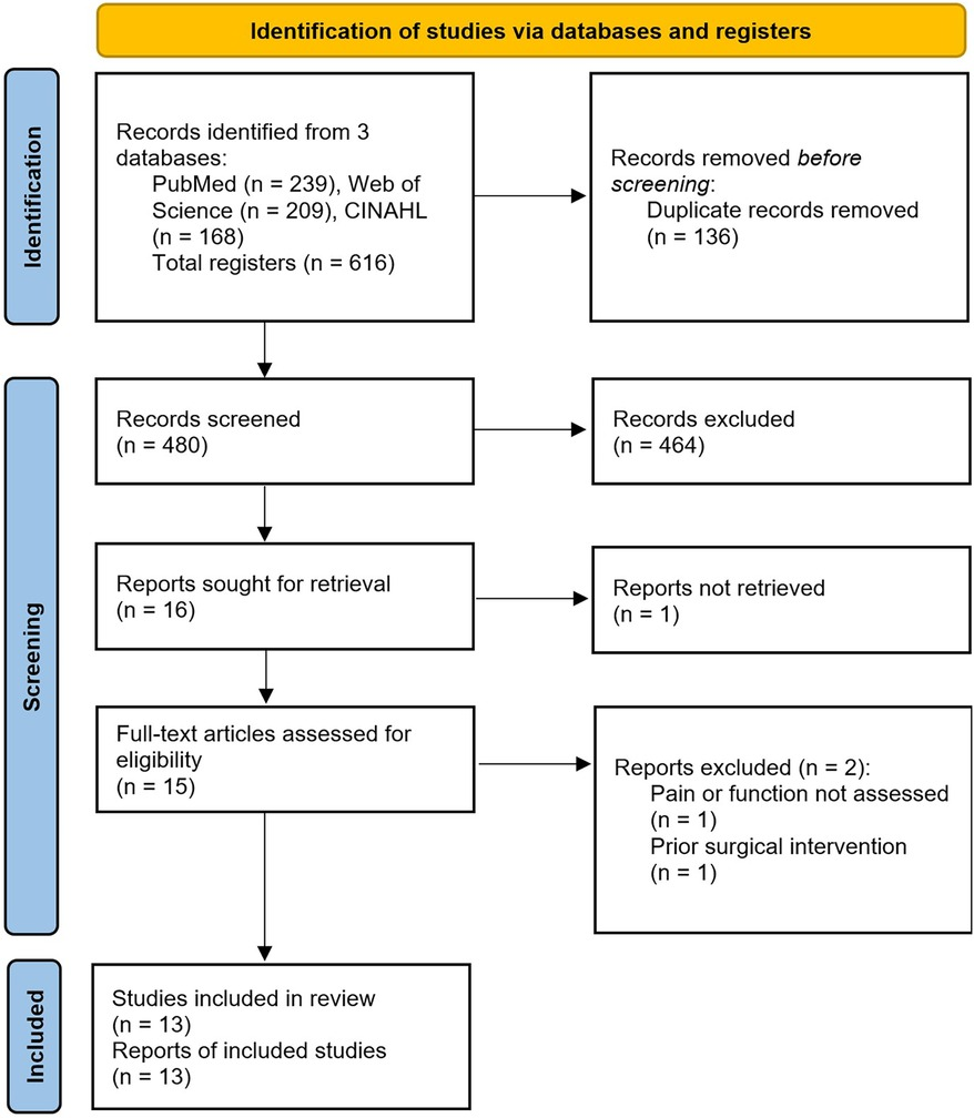 Effects of conservative treatment strategies for iliotibial band syndrome on pain and function in runners: a systematic review