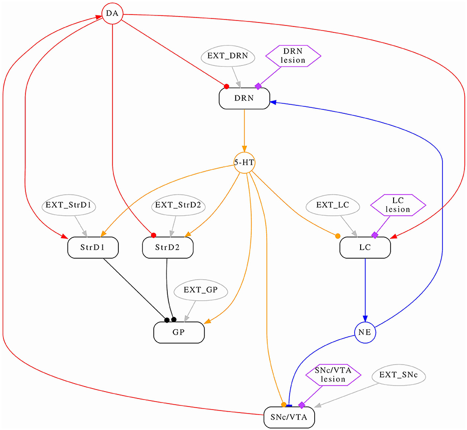 Frontiers | Simulating combined monoaminergic depletions in