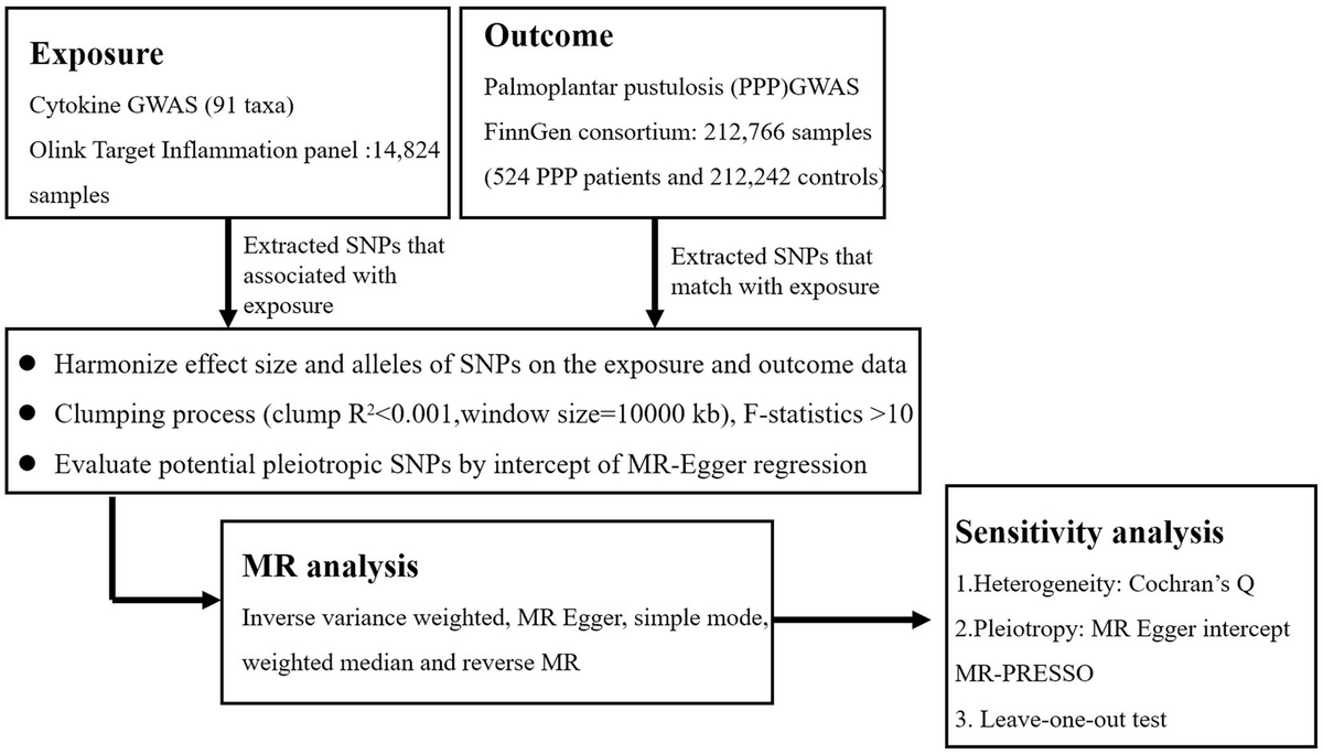 Identification of Various Execution Modes and Their Respective Risks for  Public–Private Partnership (PPP) Infrastructure Projects
