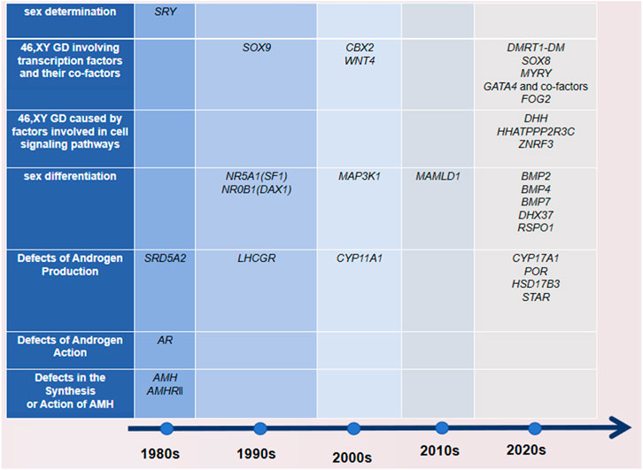 Frontiers | Worldwide cohort study of 46, XY differences