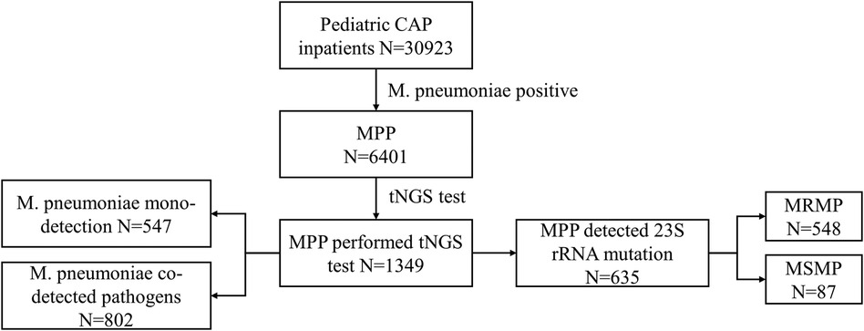 Frontiers | Impact of the COVID-19 pandemic on
