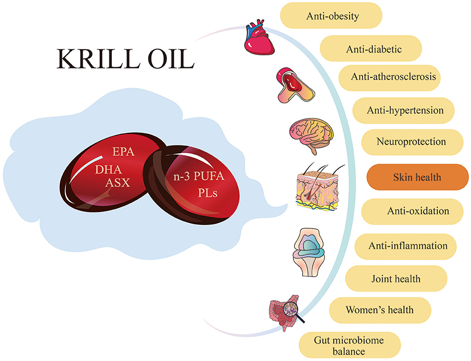 Does krill oil make you smell sale