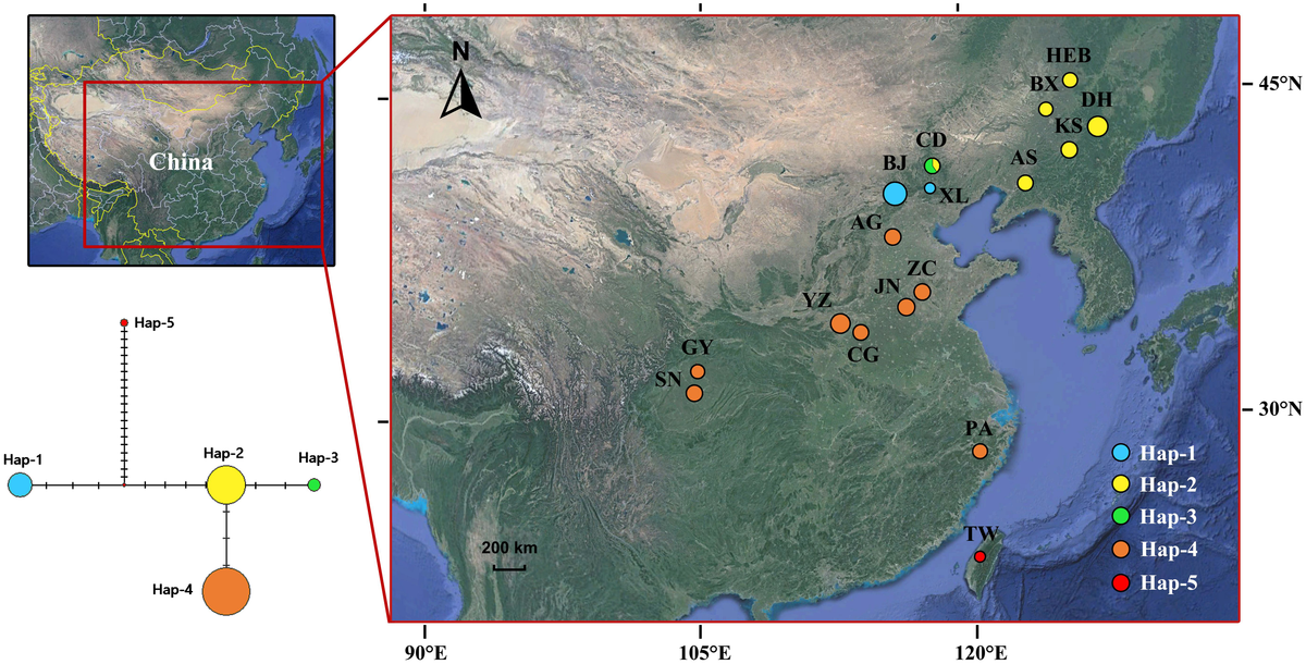 Frontiers | Molecular evidence provides new insights into