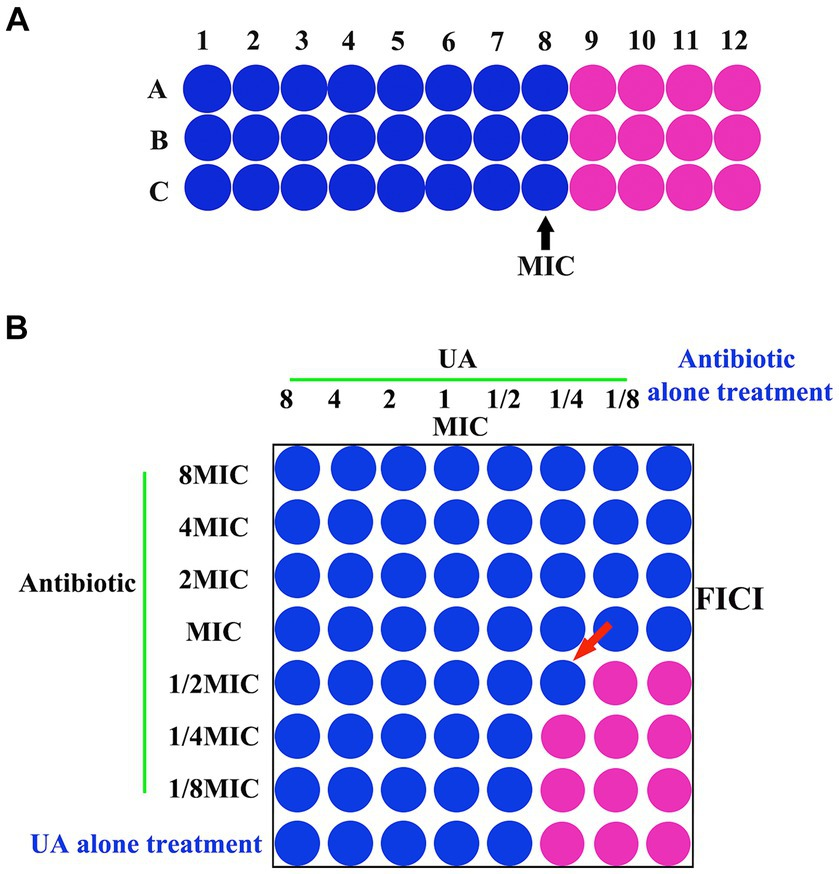 Frontiers | Evaluation of the mechanistic basis for the