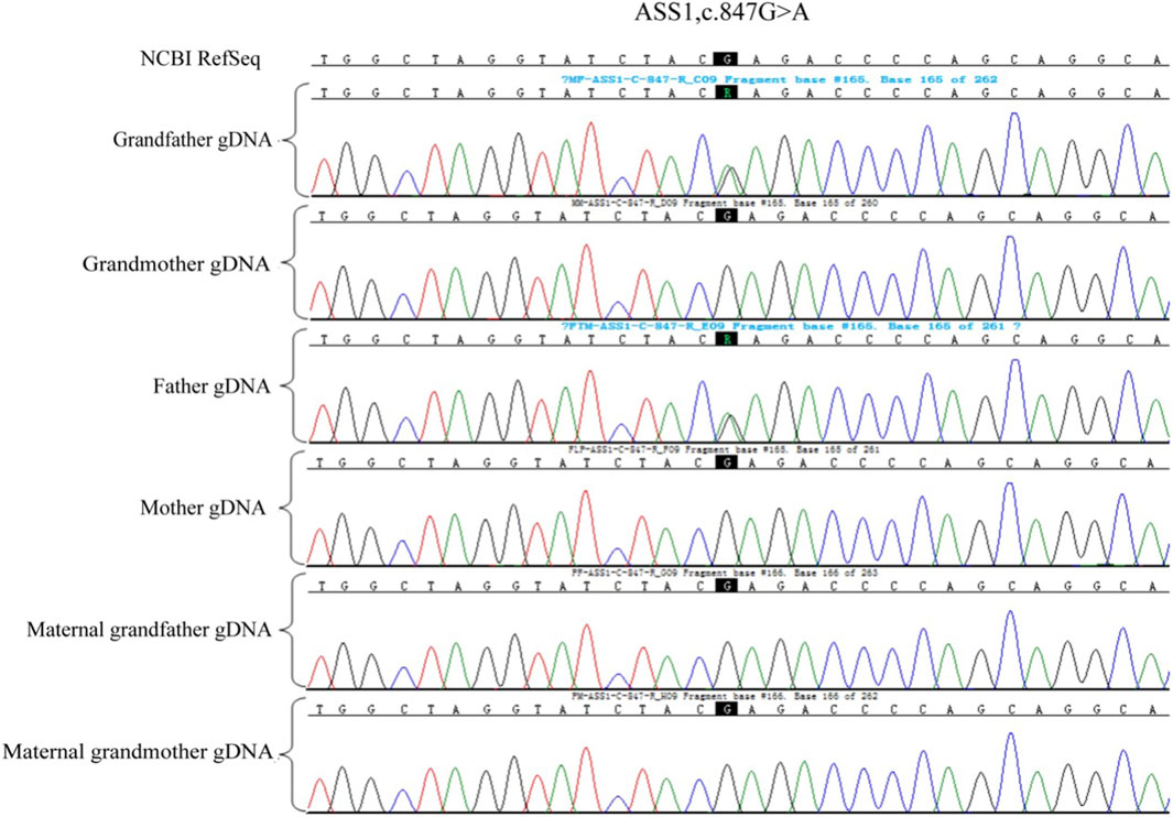 語学・辞書・学習参考書 Preimplantation Genetic Diagnosis 着床前診断 - Wikipedia