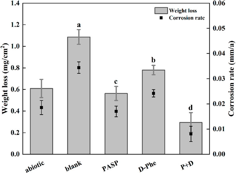 Frontiers | Synergy effect of polyaspartic acid and D