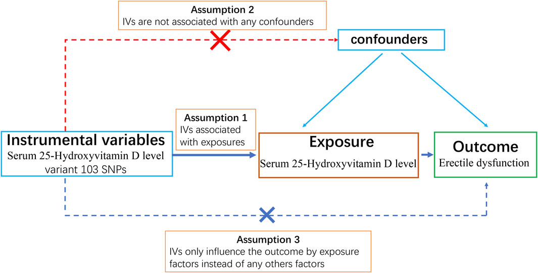 Frontiers | Serum 25-hydroxyvitamin D level and erectile