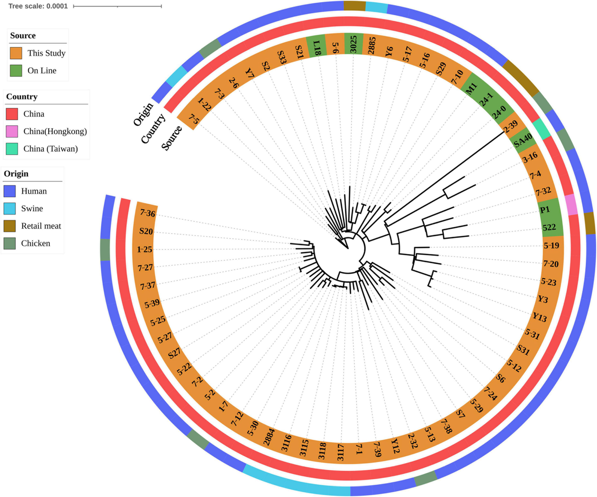 【即発送可能】 | Frontiers Genome-based cross reveals surveillance その他