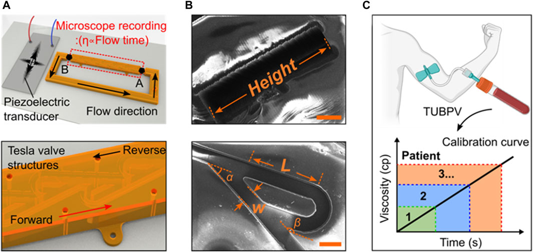 タイム Ninja Time x adidas ZX 2K Boost 