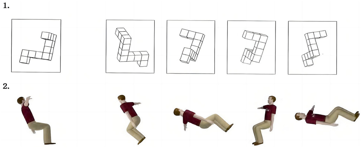 Frontiers | Axial rotation affects the cognitive characteristics of ...