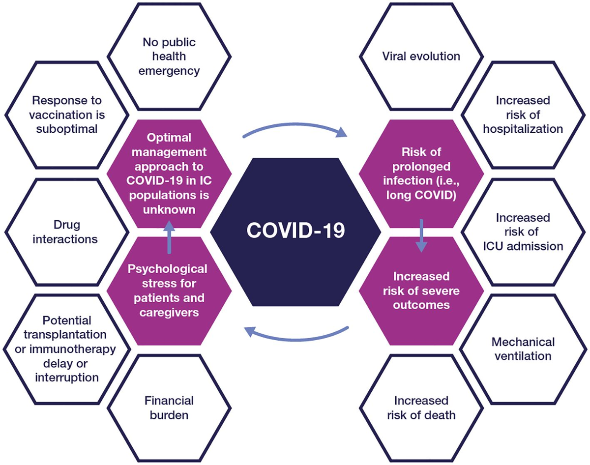 Frontiers Protecting the vulnerable addressing the COVID19 care