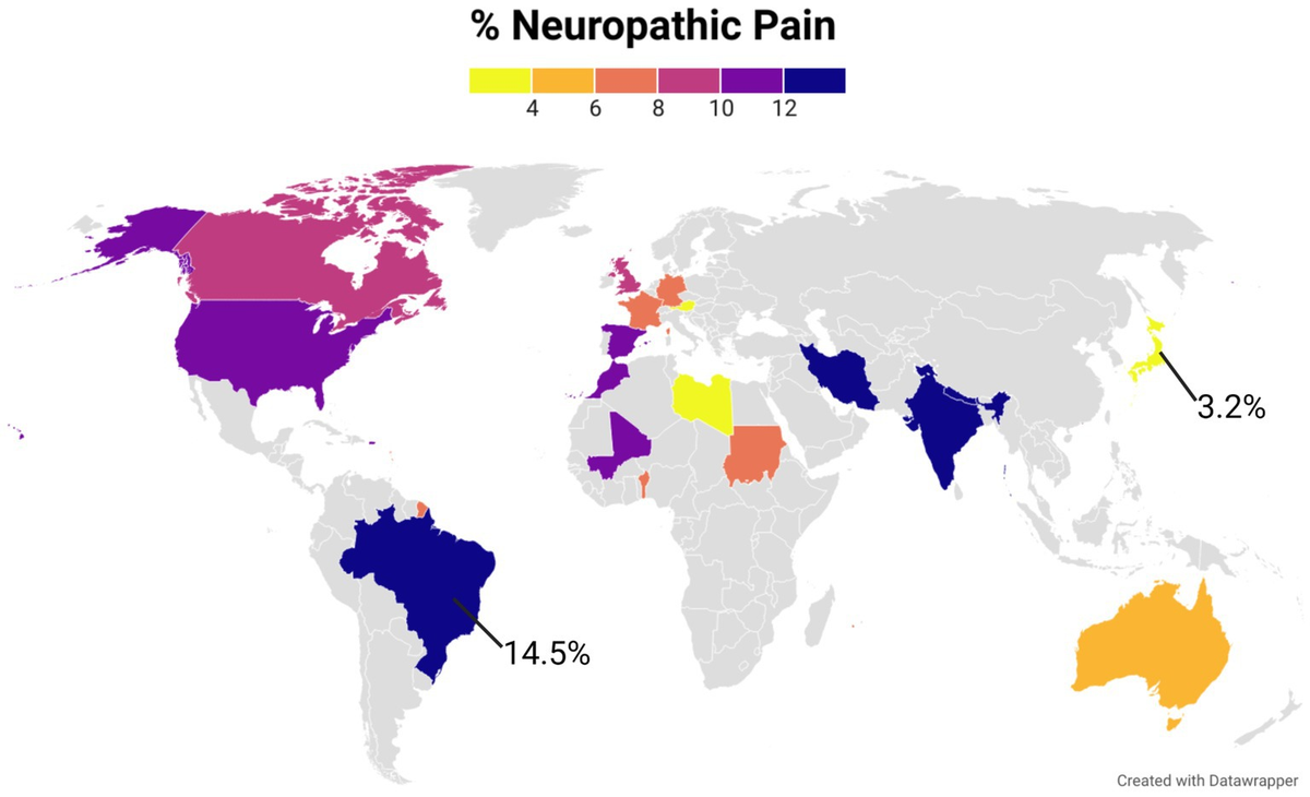 ネット限定お買い得商品 - ショップチャンネル Frontiers | in signaling axonal emerging pain: Communicating その他