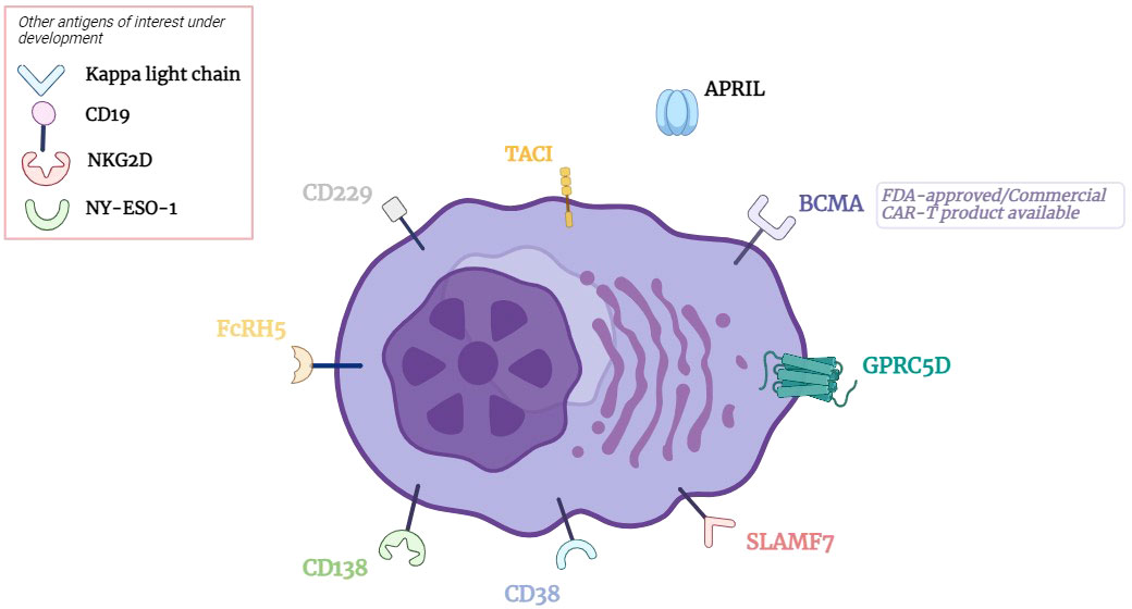 Frontiers | Beyond BCMA: the next wave of CAR T cell therapy