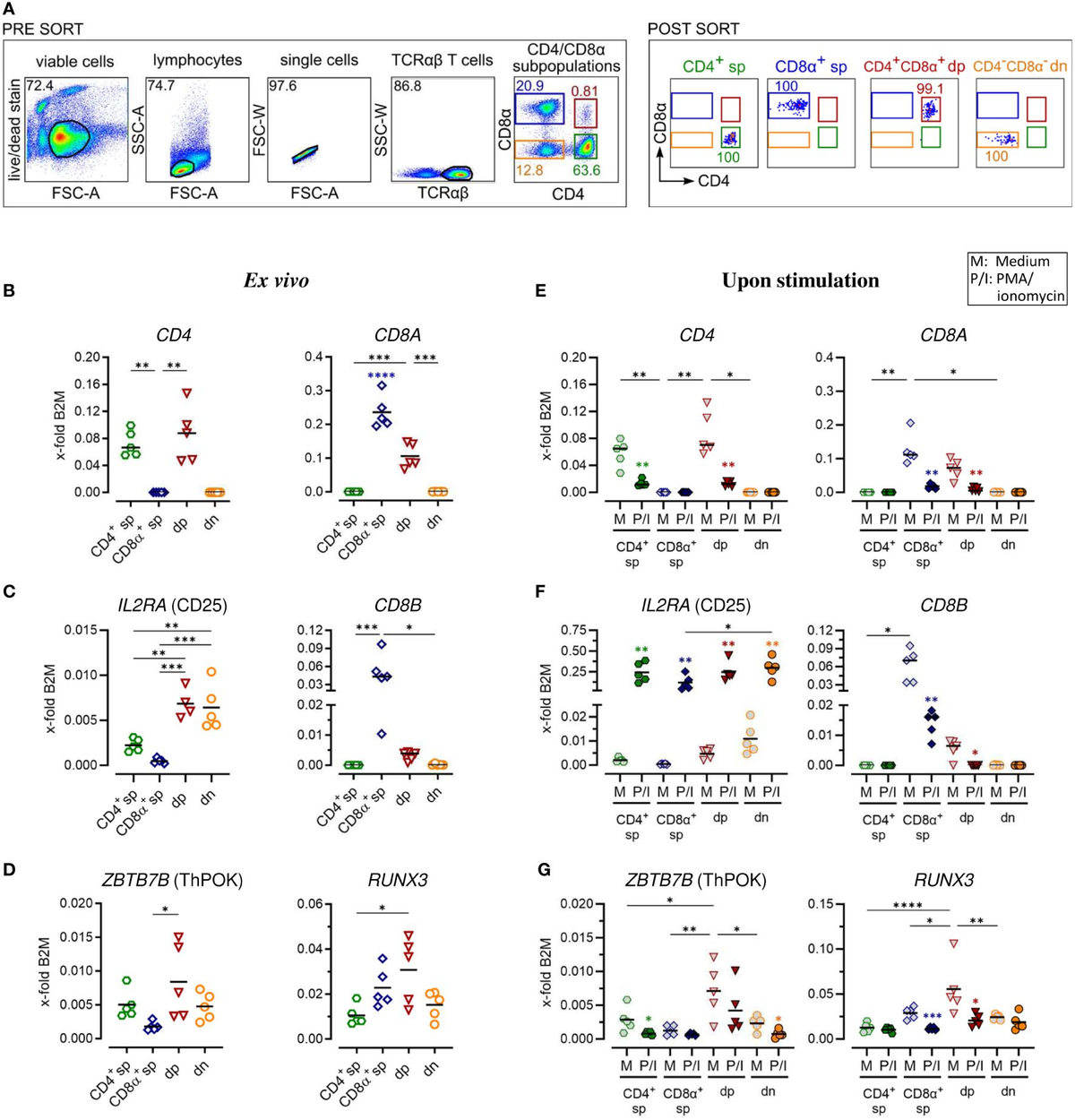 Frontiers | Canine peripheral non-conventional TCRαβ+ CD4