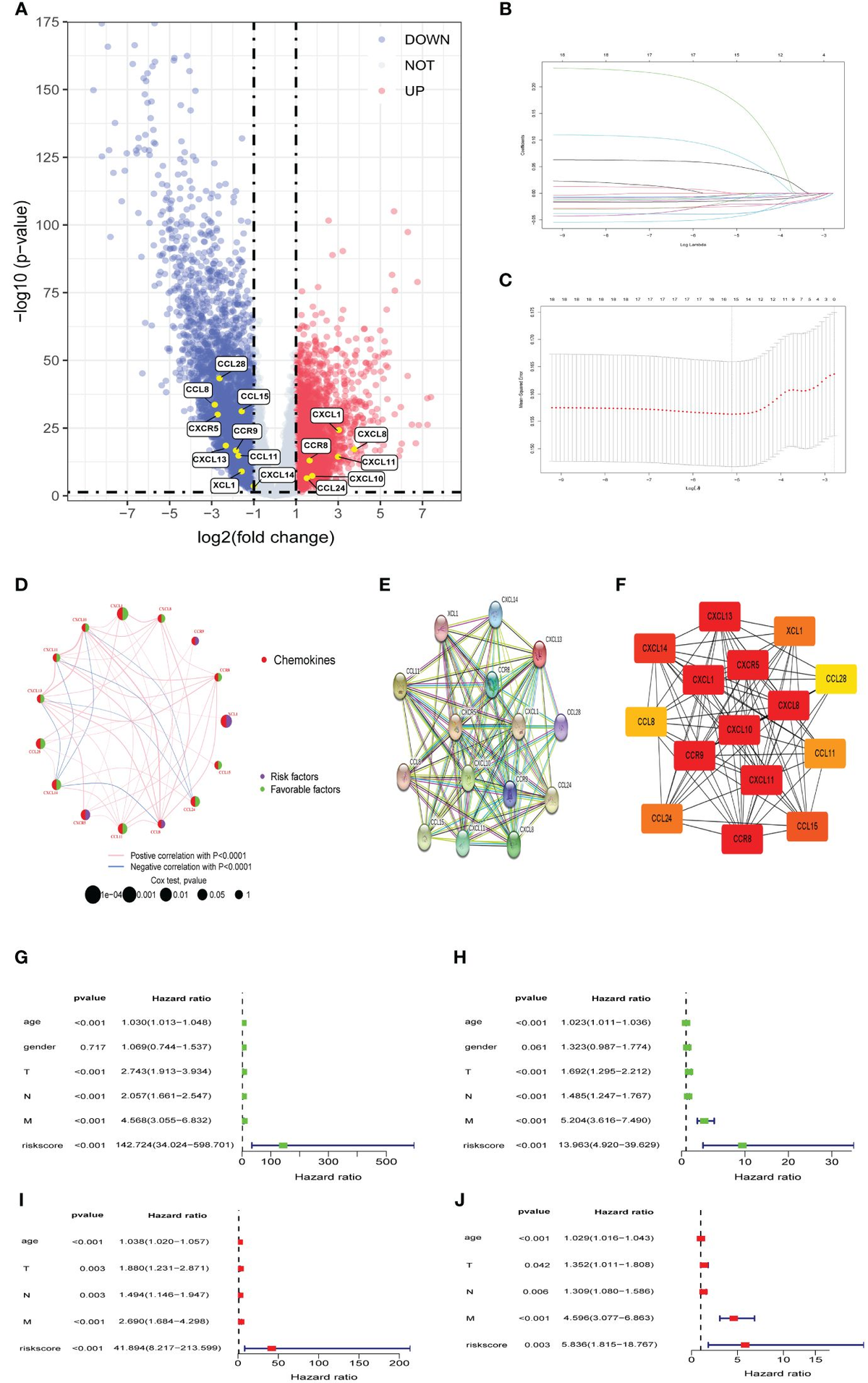感謝の声続々！ Frontiers | Establishment of a chemokine-based prognostic その他