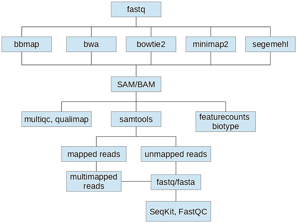 Frontiers | Benchmarking of five NGS mapping tools for the reference ...