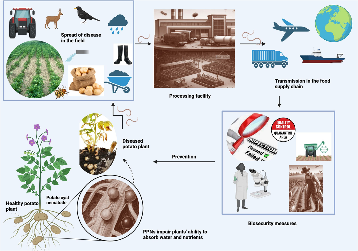 Frontiers | Biosecurity risks to human food supply