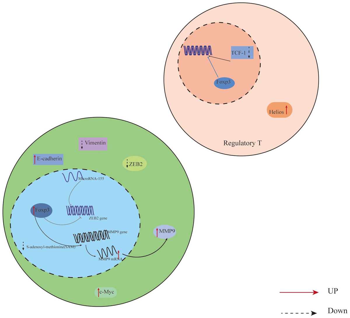 Efficient and rapid capture of uranium(VI) in wastewater via