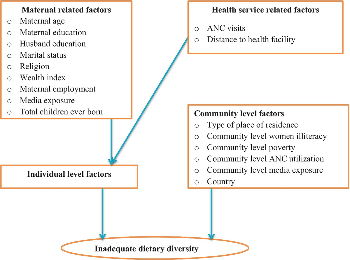 Prevalence and determinants of inadequate dietary diversity among pregnant women in four Sub-Saharan Africa countries: a multilevel analysis of recent demographic and health surveys from 2021 to 2022 Prevalence and determinants of inadequate dietary diversity among pregnant women in four Sub-Saharan Africa countries: a multilevel analysis of recent demographic and health surveys from 2021 to 2022