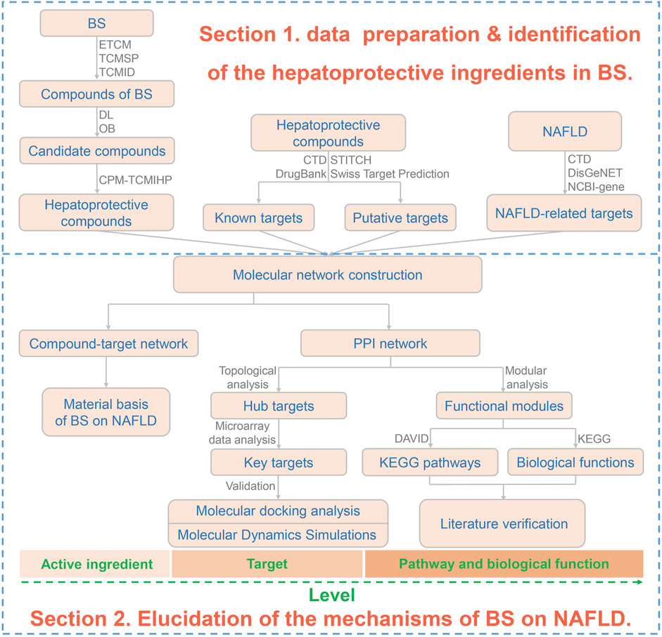 Frontiers | A novel bioinformatics strategy to uncover the