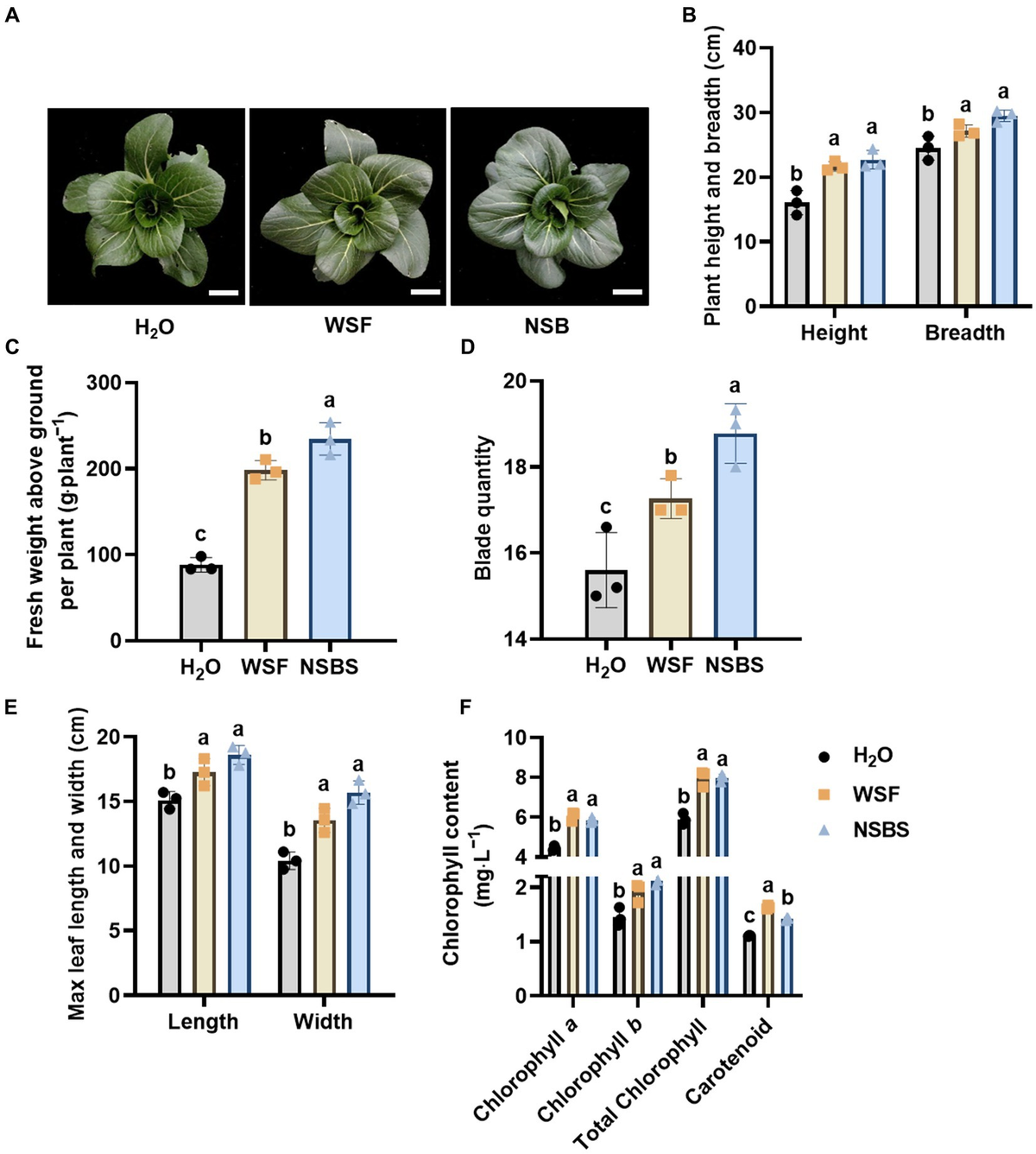 Frontiers | Natural soil biotin application activates soil
