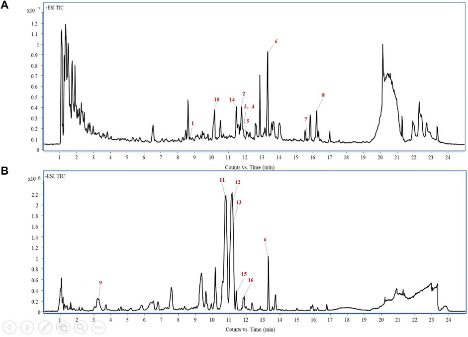 ℳ. Frontiers | Mushroom polysaccharides from Grifola frondosa