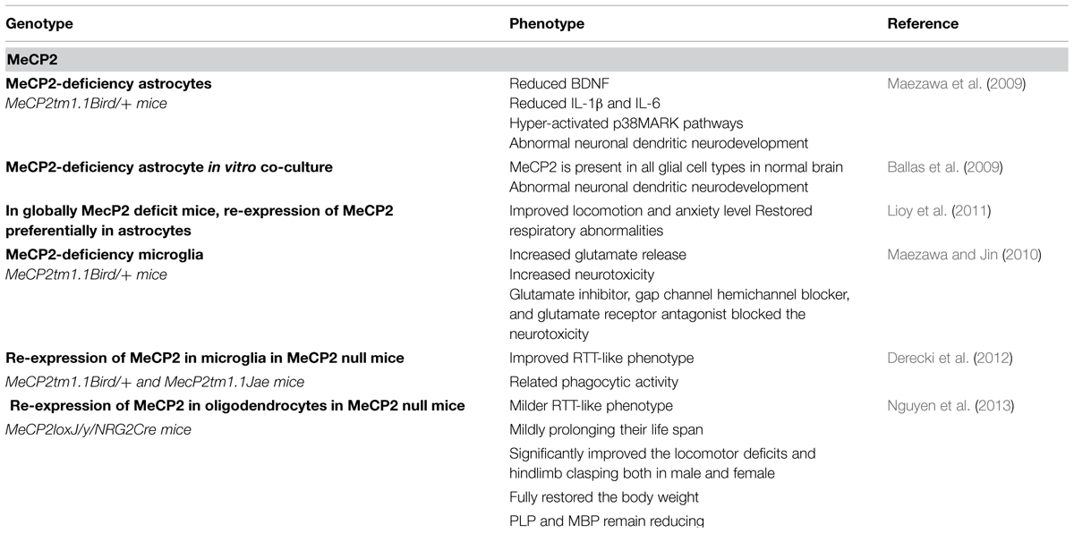 Frontiers | Potential primary roles of glial cells in the