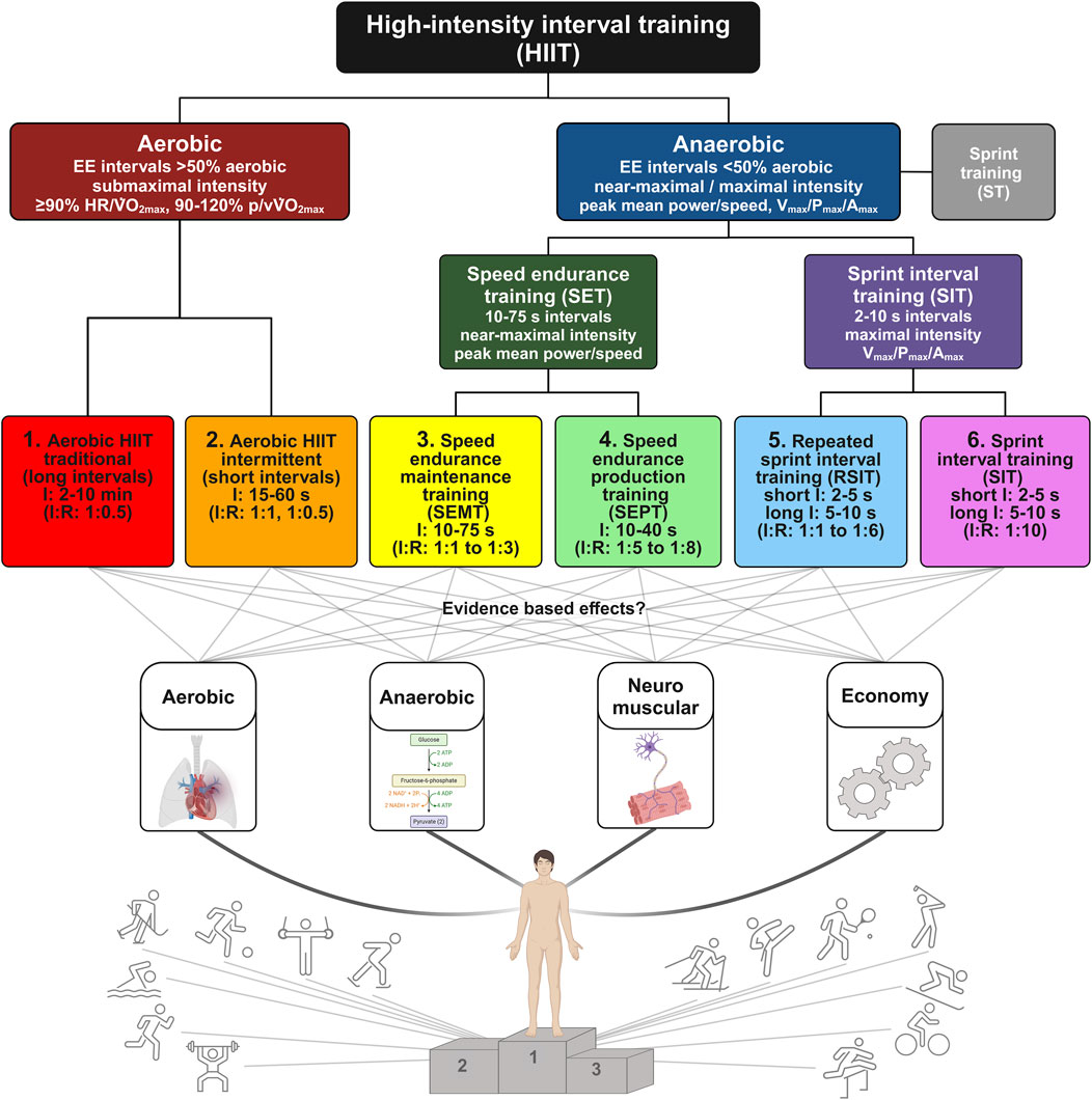 Hiit adaptive training clearance