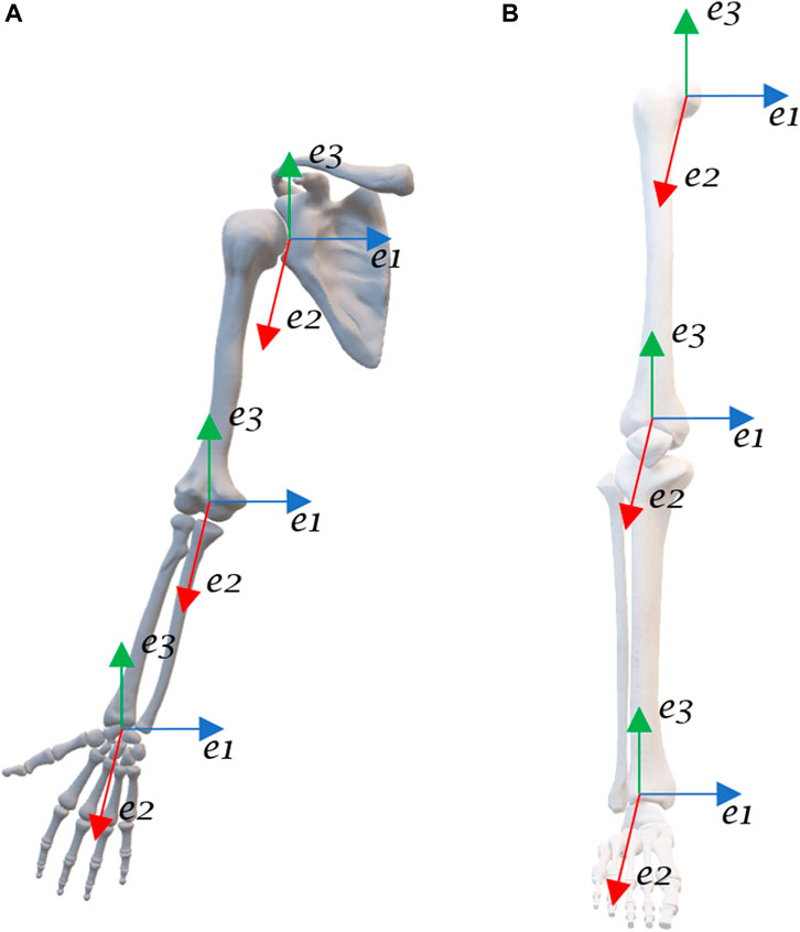 MOTION PALPATION OF THE EXTREMITY 上・下巻 MOTIONPALPATIONOFTHEEXTREMITY 上・下巻セット - メルカリ