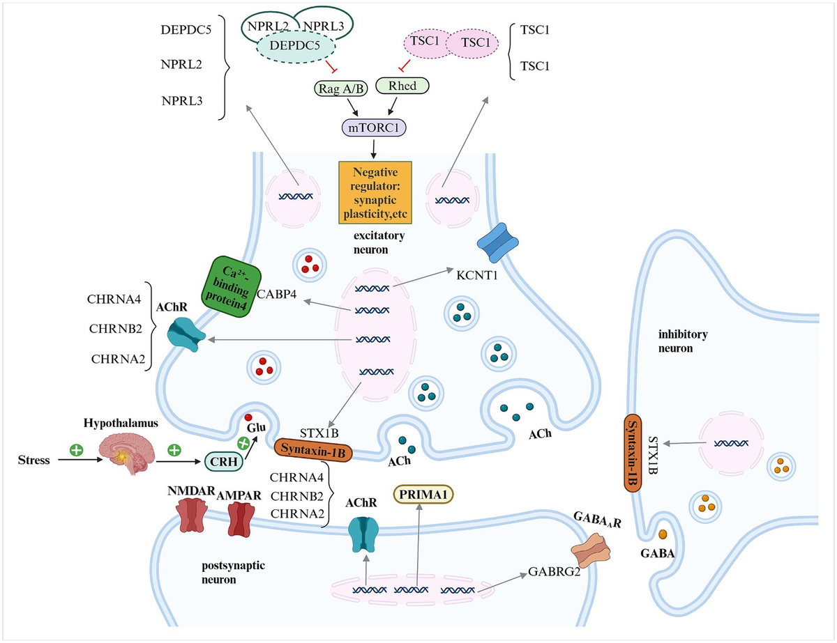 ナン Selective Photoreforming of Waste Plastics into Diesel