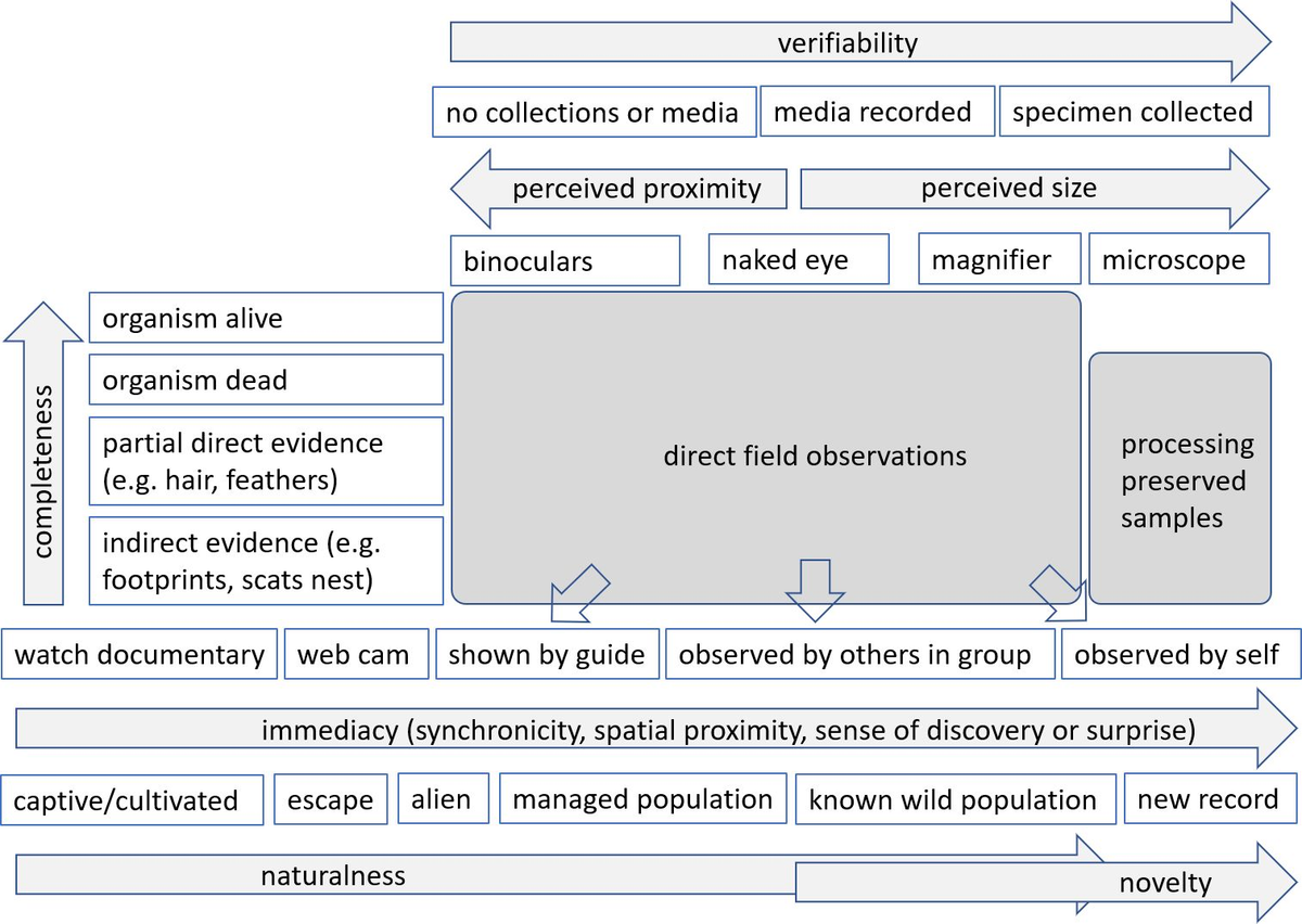 Nature observations between tourism, scientific data and pure appreciation