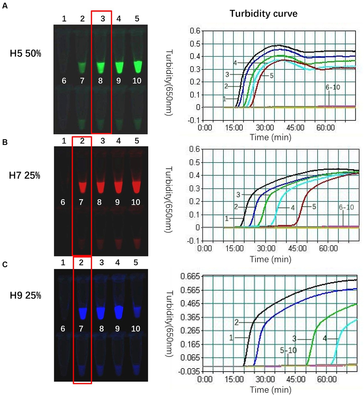 Ibα-XYL1 Interfered Expression Decreases Starch Granule Size