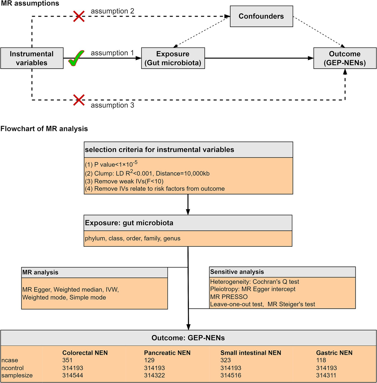 Frontiers | Investigating the causal relationship between