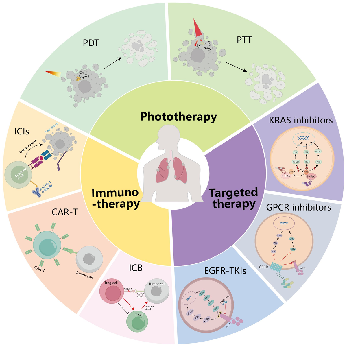 Frontiers | Photonanozyme–Kras–ribosome combination Frontiers | Photonanozyme–Kras–ribosome combination