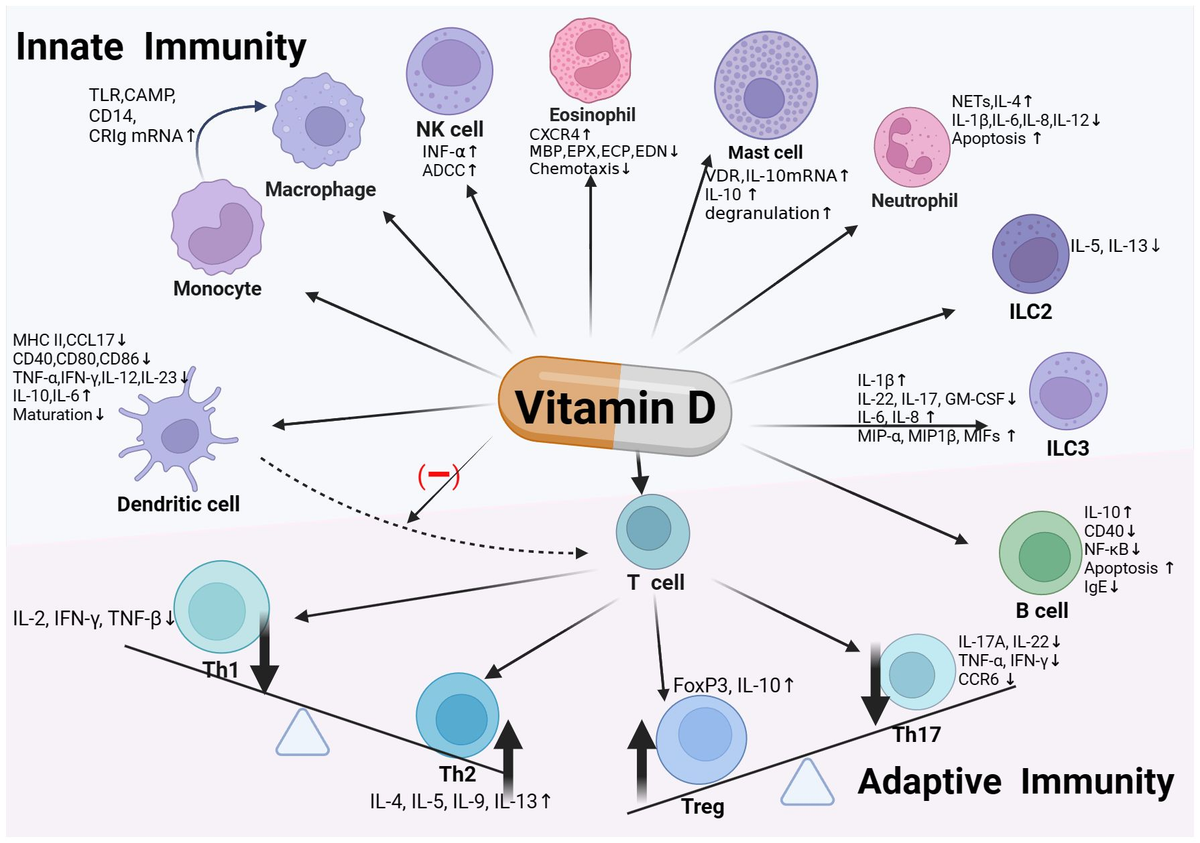 Vitamin D and allergic diseases