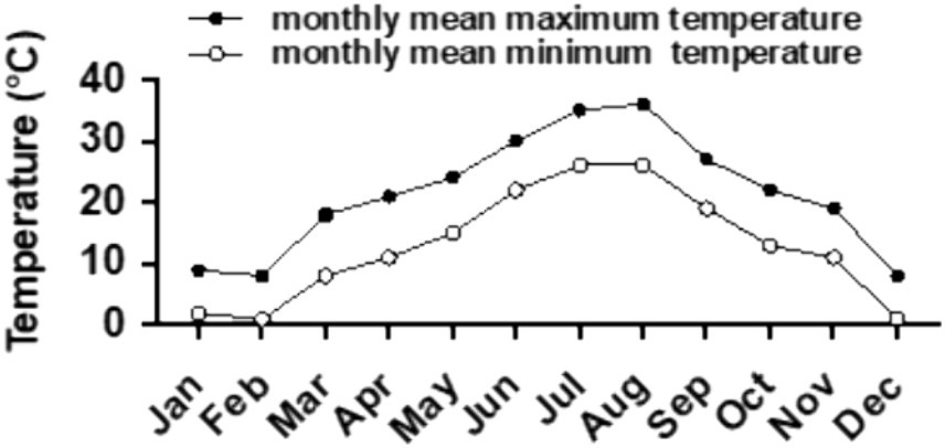 Comparative Analysis of the Effects of Crude Metabolic Extracts of Three  Biocontrol Bacteria on Microbial Community Structure Provides a New  Strategy for the Biological Control of Apple Replant Disease
