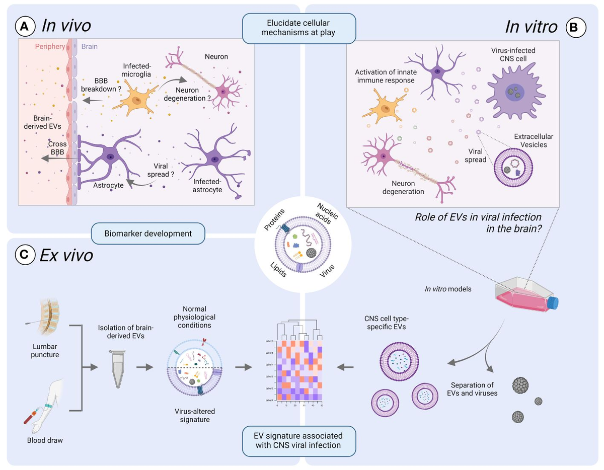 レオ Frontiers | Impact of gut microbiome on dyslipidemia in