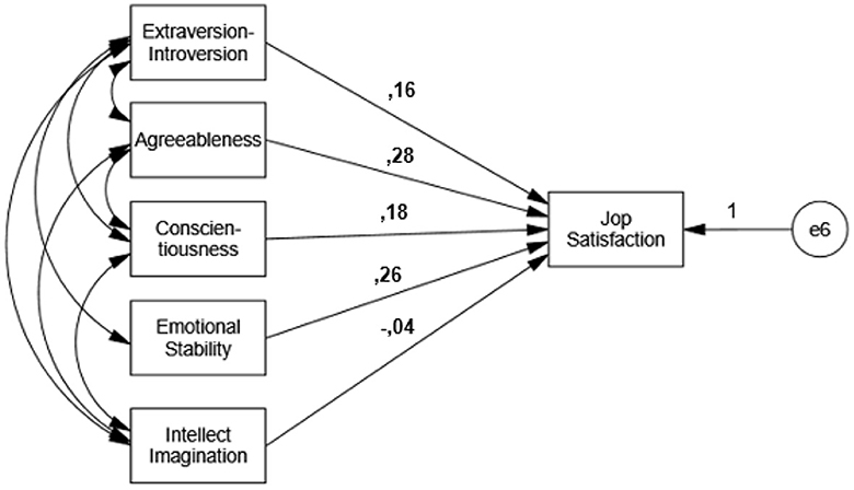 Evaluation of professional satisfaction of audiologists working in Türkiye based on their personality characteristics and sector of work