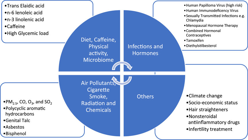 Ayollarni hammomlarda sikishadi