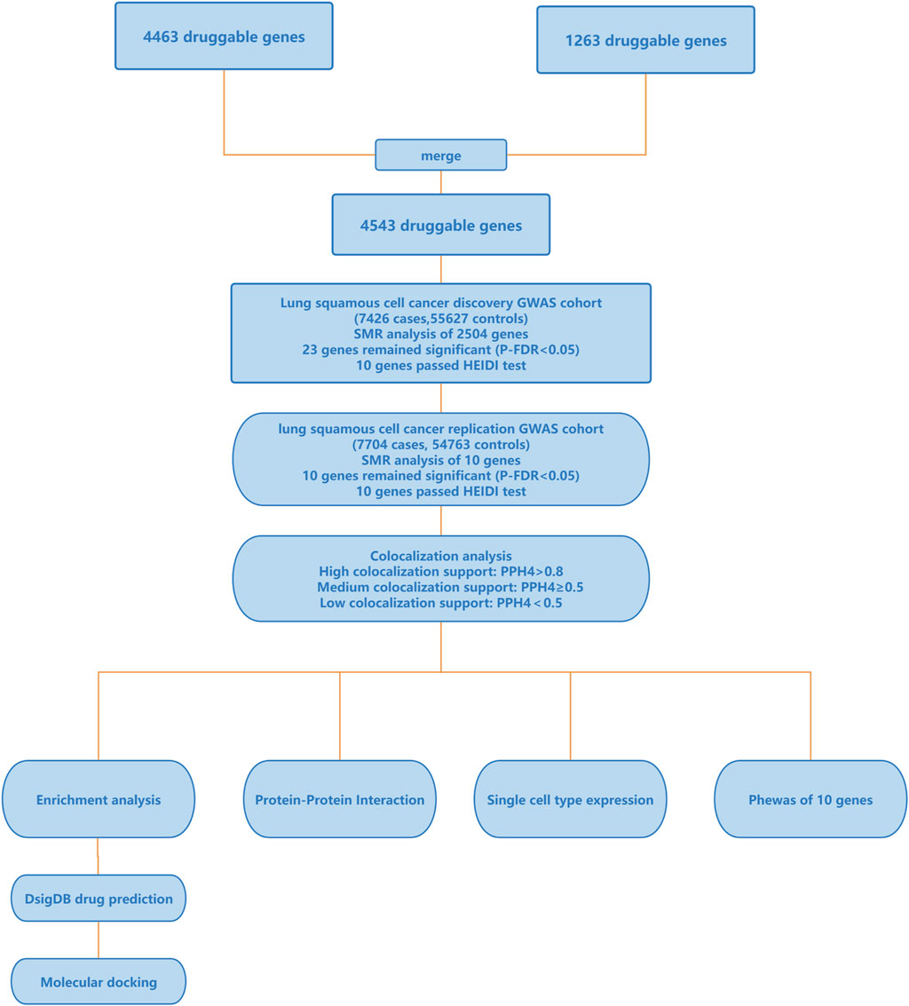 fgene-15-1431684-g001.jpg