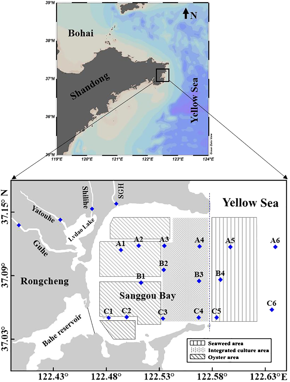 お気に入り in balance Silicon | Frontiers an multi-tropical integrated 靴
